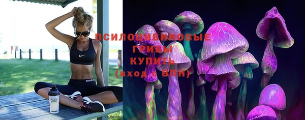 дурь Нефтекумск